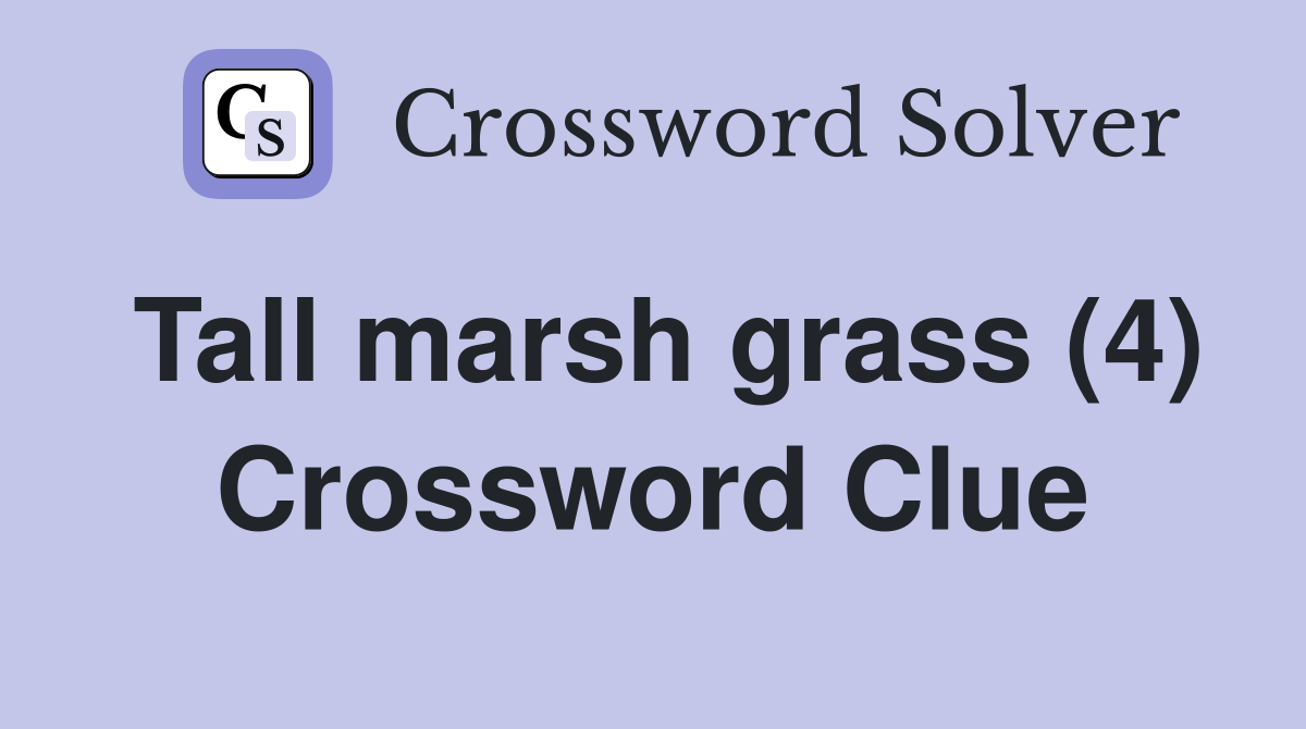 Tall marsh grass (4) Crossword Clue