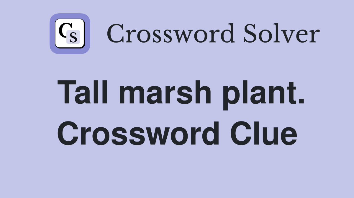 Tall marsh plant. Crossword Clue