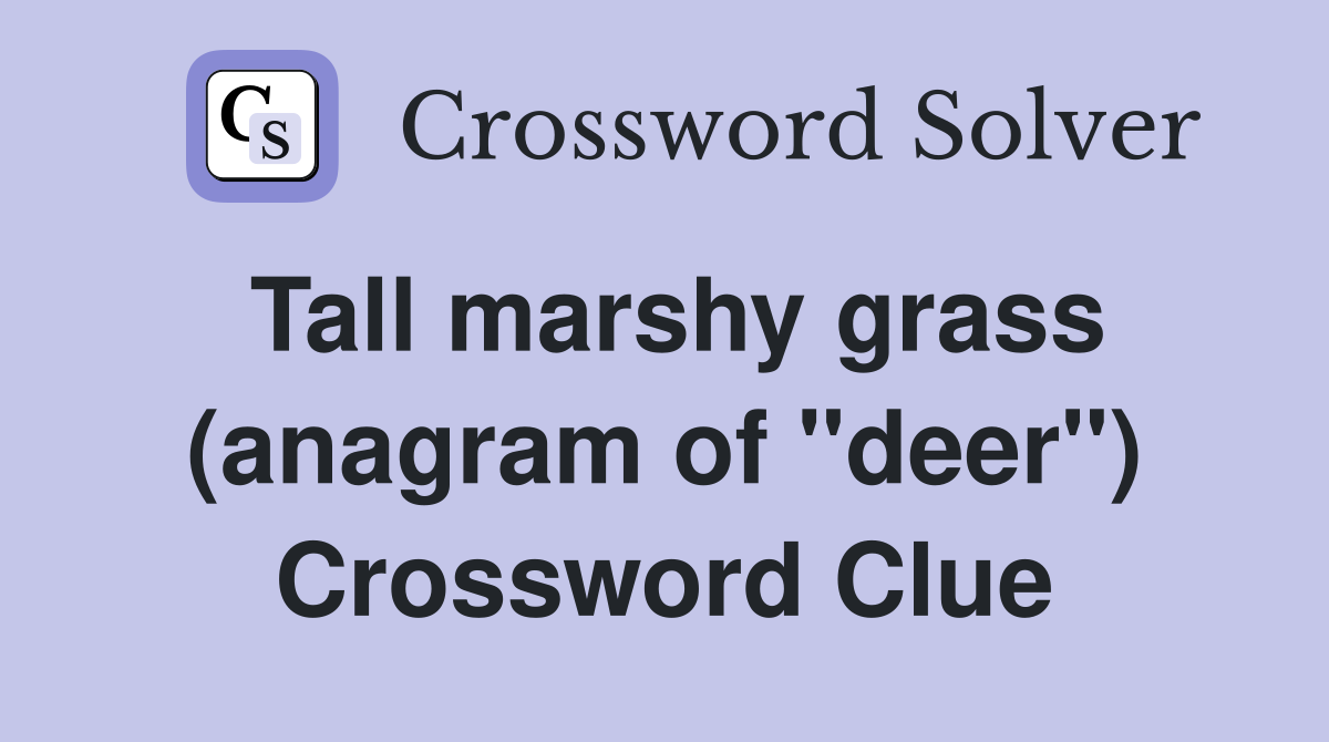Tall marshy grass (anagram of "deer") Crossword Clue