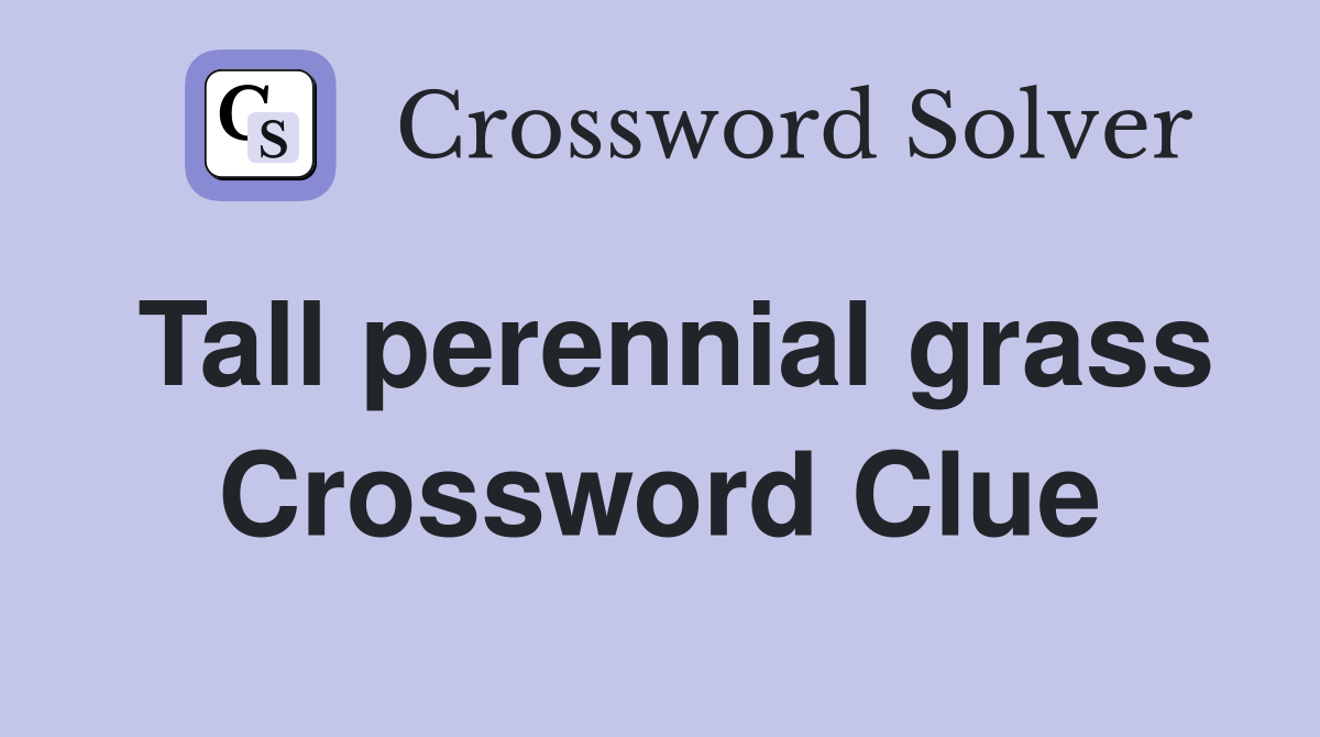 Tall perennial grass Crossword Clue
