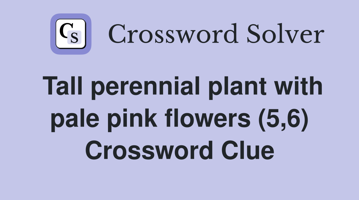 Tall perennial plant with pale pink flowers (5,6) Crossword Clue