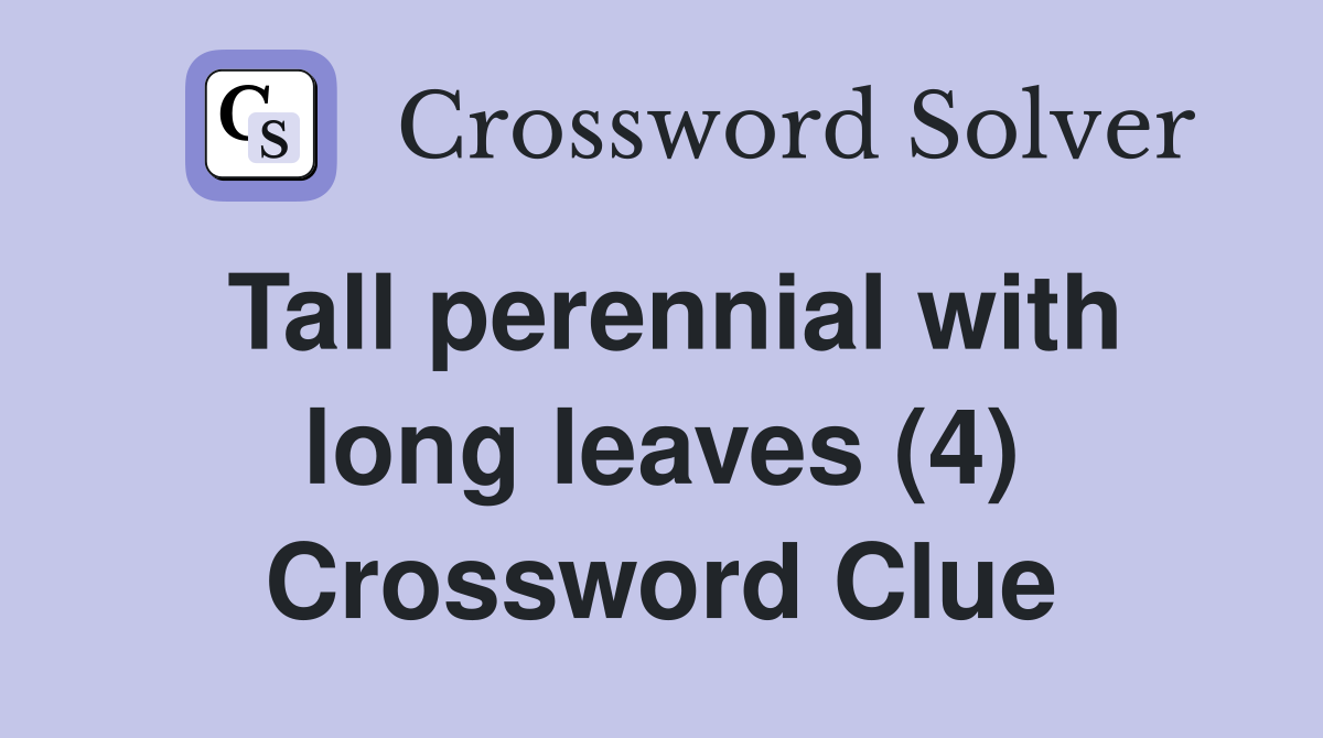Tall perennial with long leaves (4) Crossword Clue