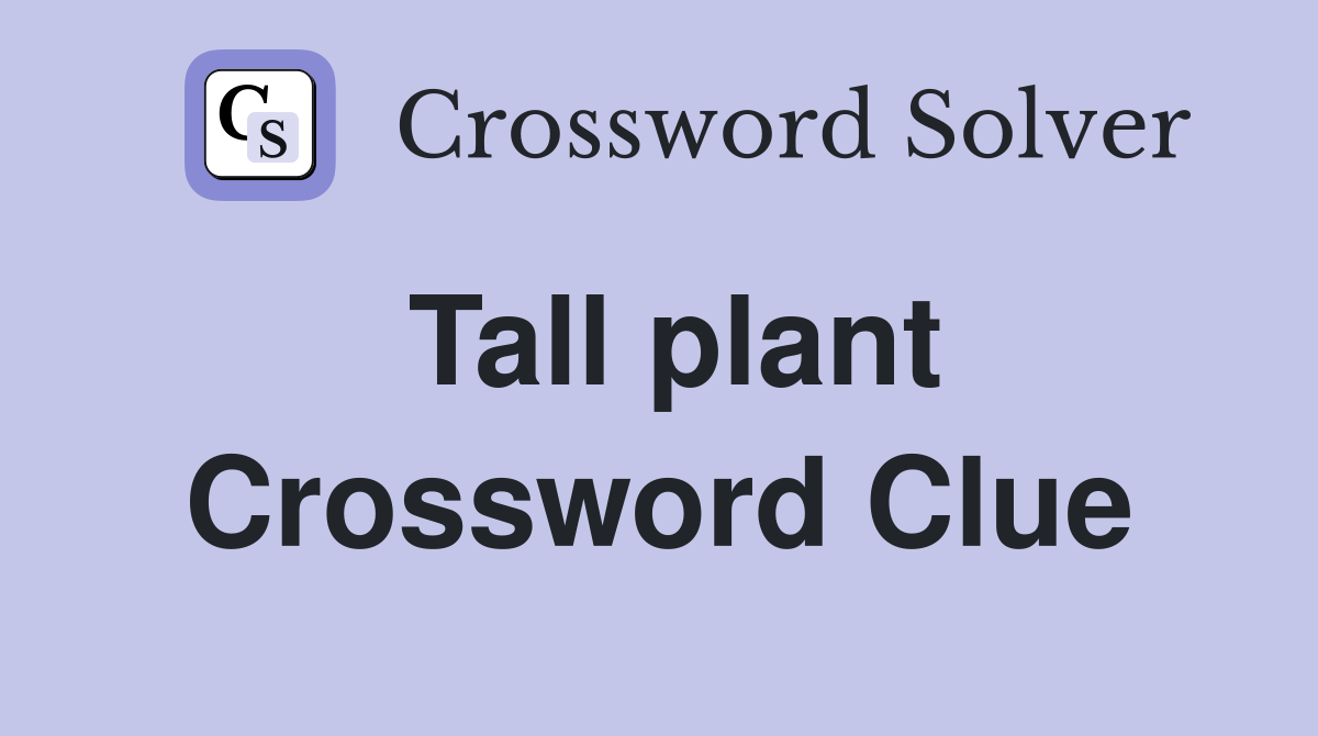 Tall plant Crossword Clue
