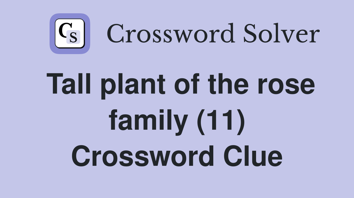 Tall plant of the rose family (11) Crossword Clue