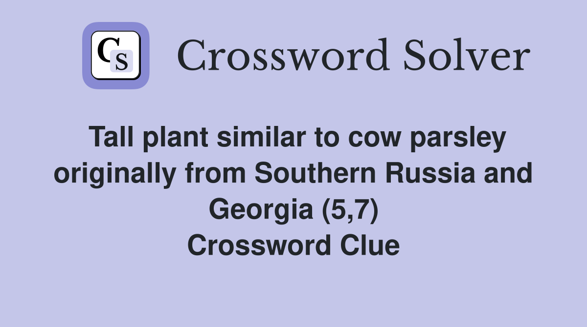 Tall plant similar to cow parsley originally from Southern Russia and Georgia (5,7) Crossword Clue