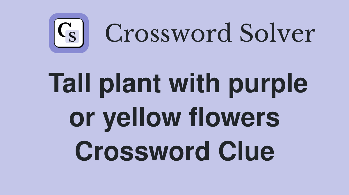 Tall plant with purple or yellow flowers Crossword Clue