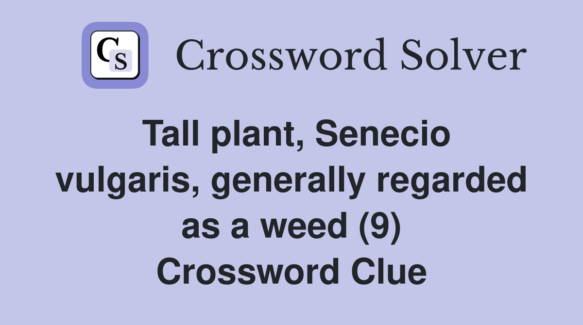 Tall plant, Senecio vulgaris, generally regarded as a weed (9) Crossword Clue