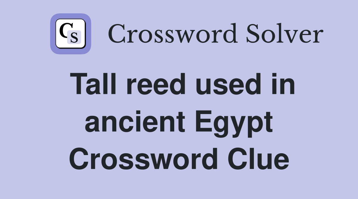 Tall reed used in ancient Egypt Crossword Clue