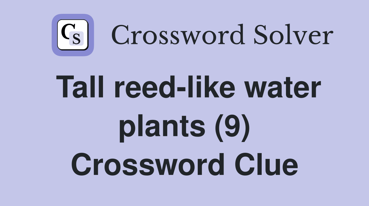 Tall reed-like water plants (9) Crossword Clue
