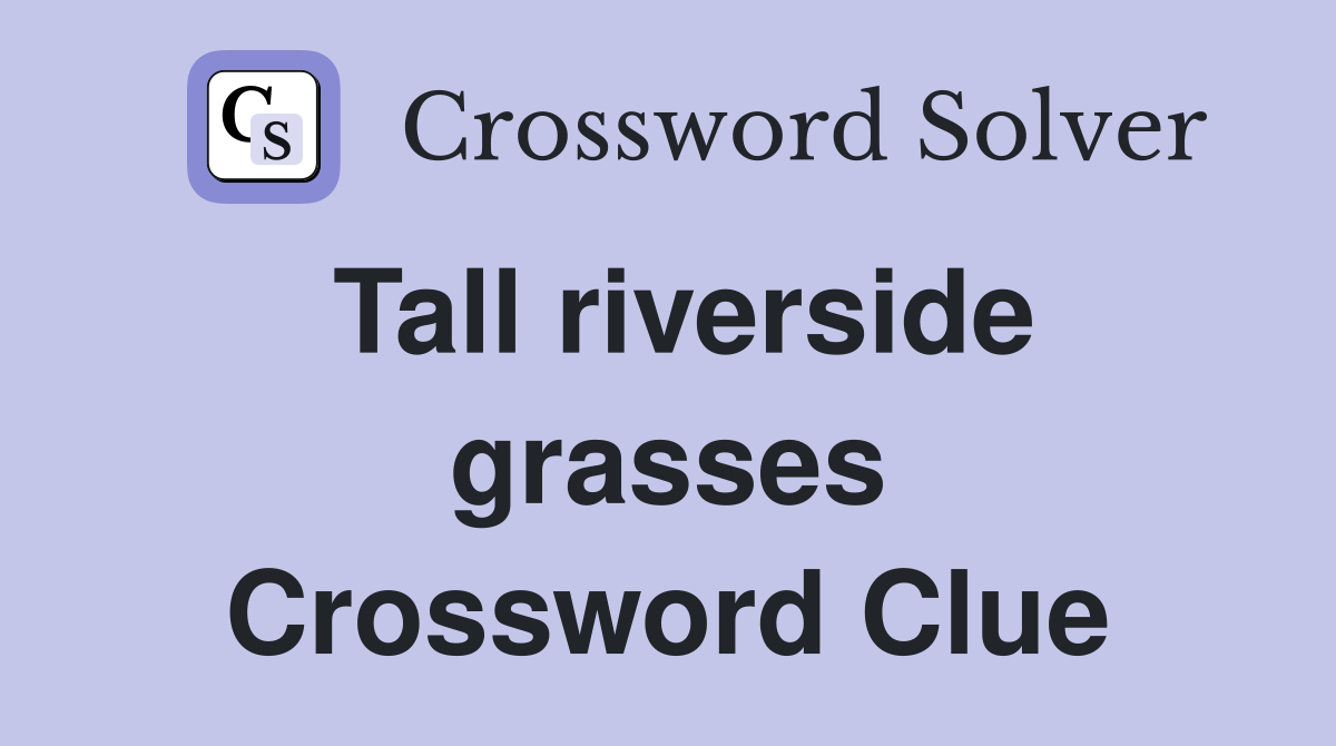 Tall riverside grasses Crossword Clue