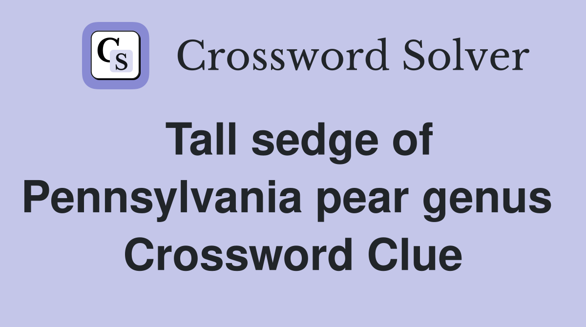 Tall sedge of Pennsylvania pear genus  Crossword Clue