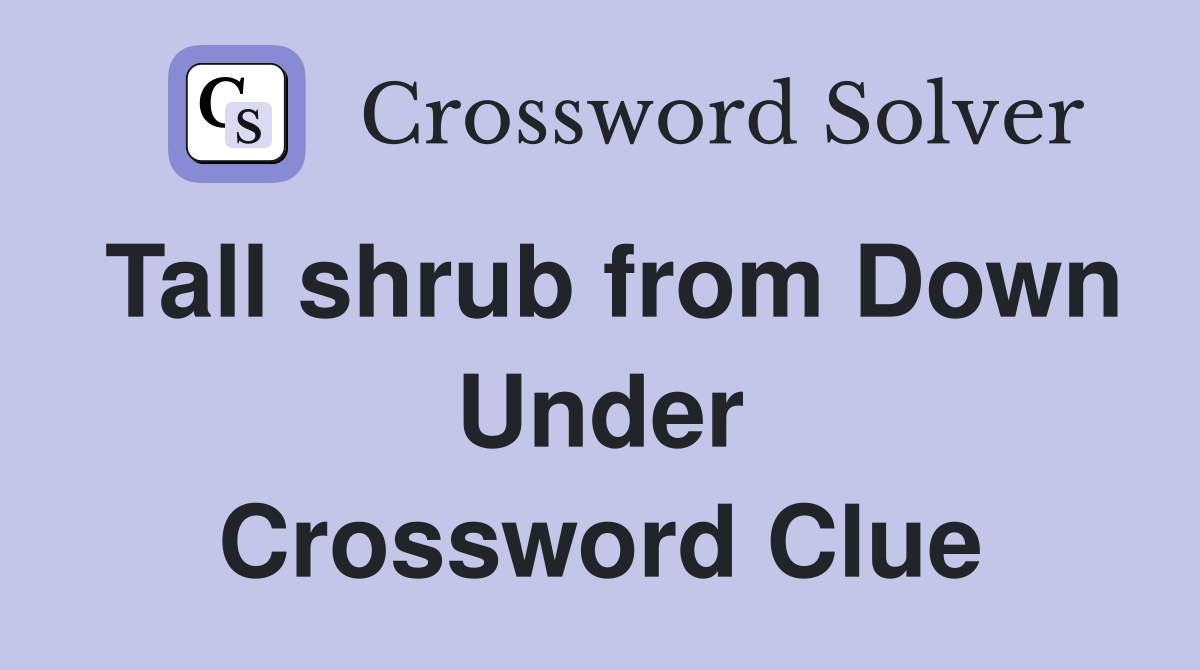 Tall shrub from Down Under Crossword Clue