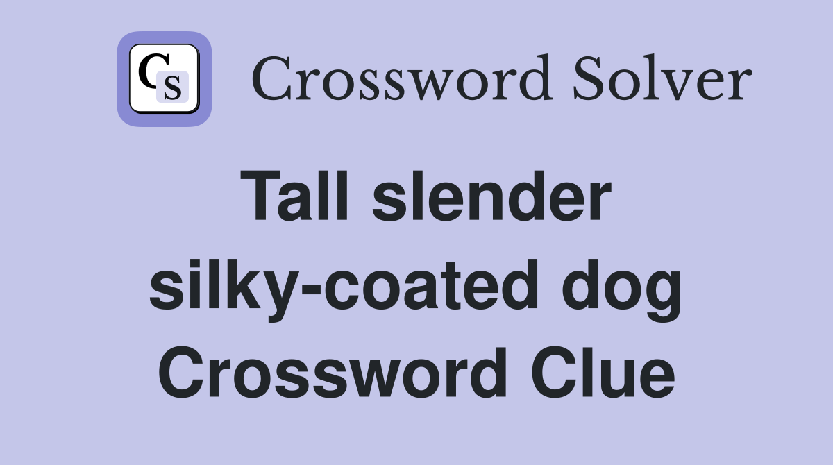 Tall slender silky-coated dog Crossword Clue