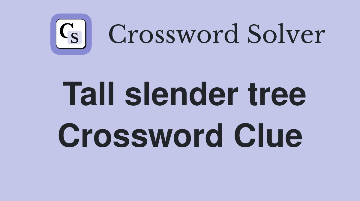 Tall slender tree Crossword Clue