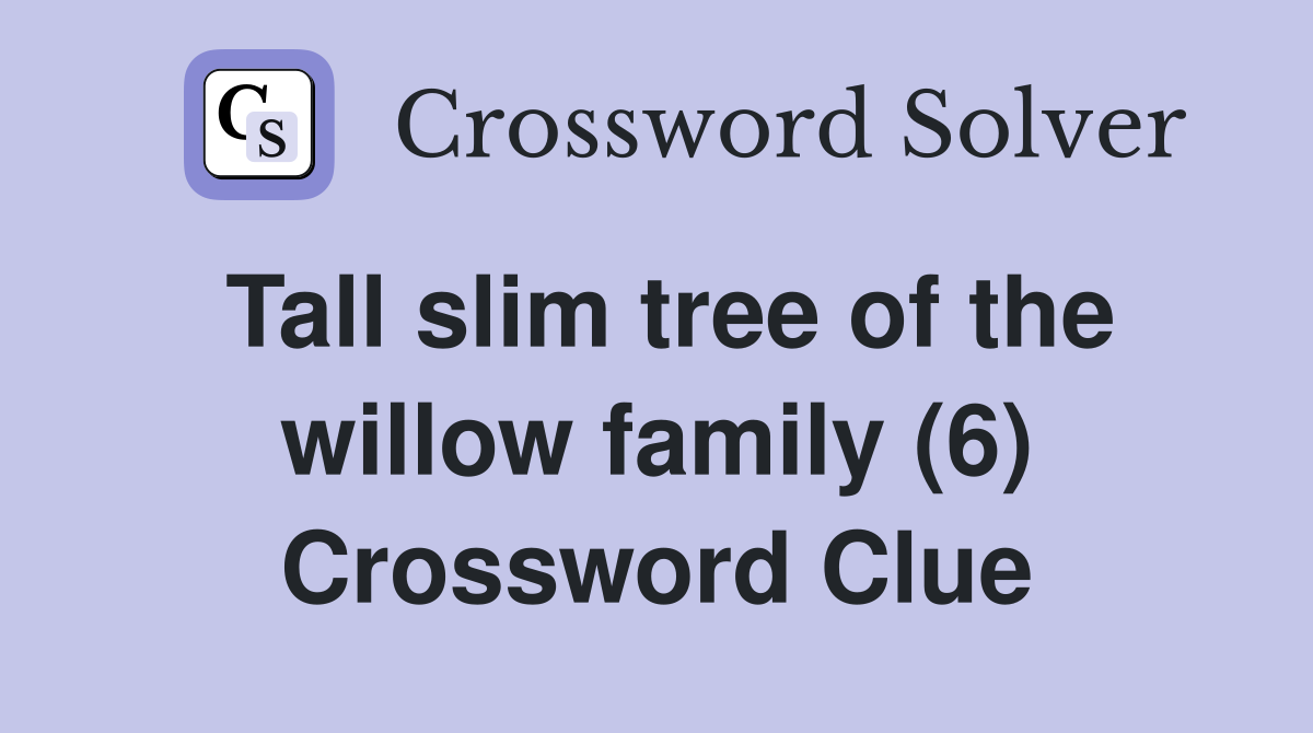 Tall slim tree of the willow family (6) Crossword Clue