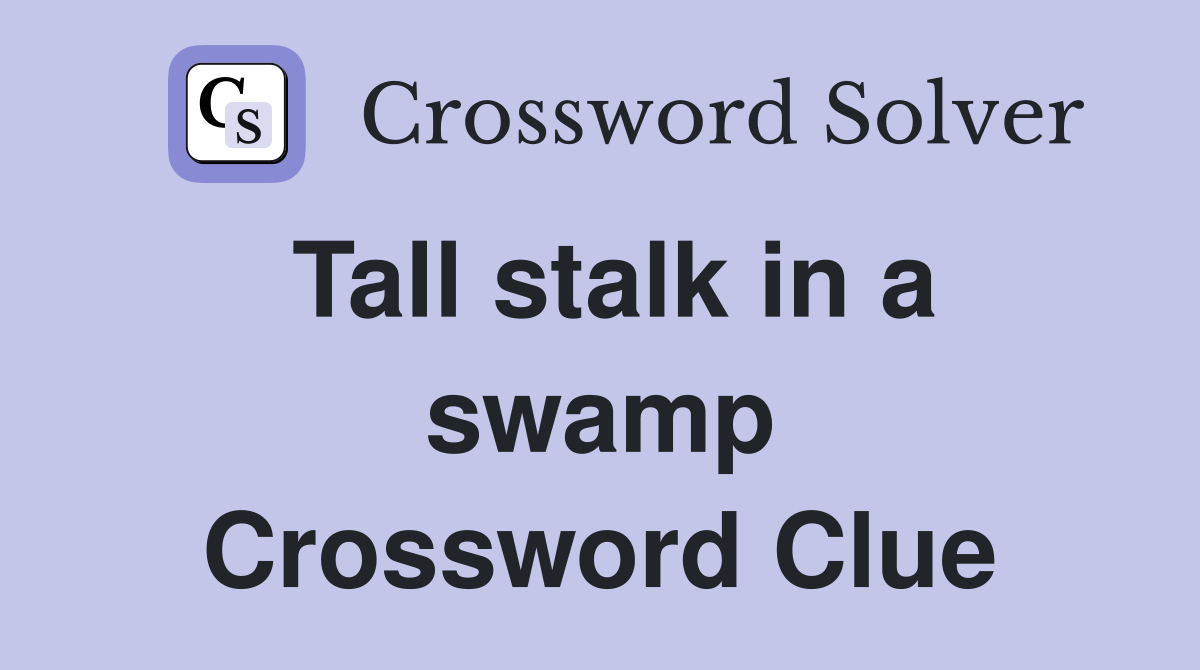 Tall stalk in a swamp Crossword Clue