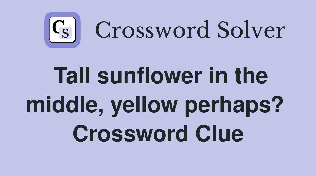 Tall sunflower in the middle, yellow perhaps?  Crossword Clue
