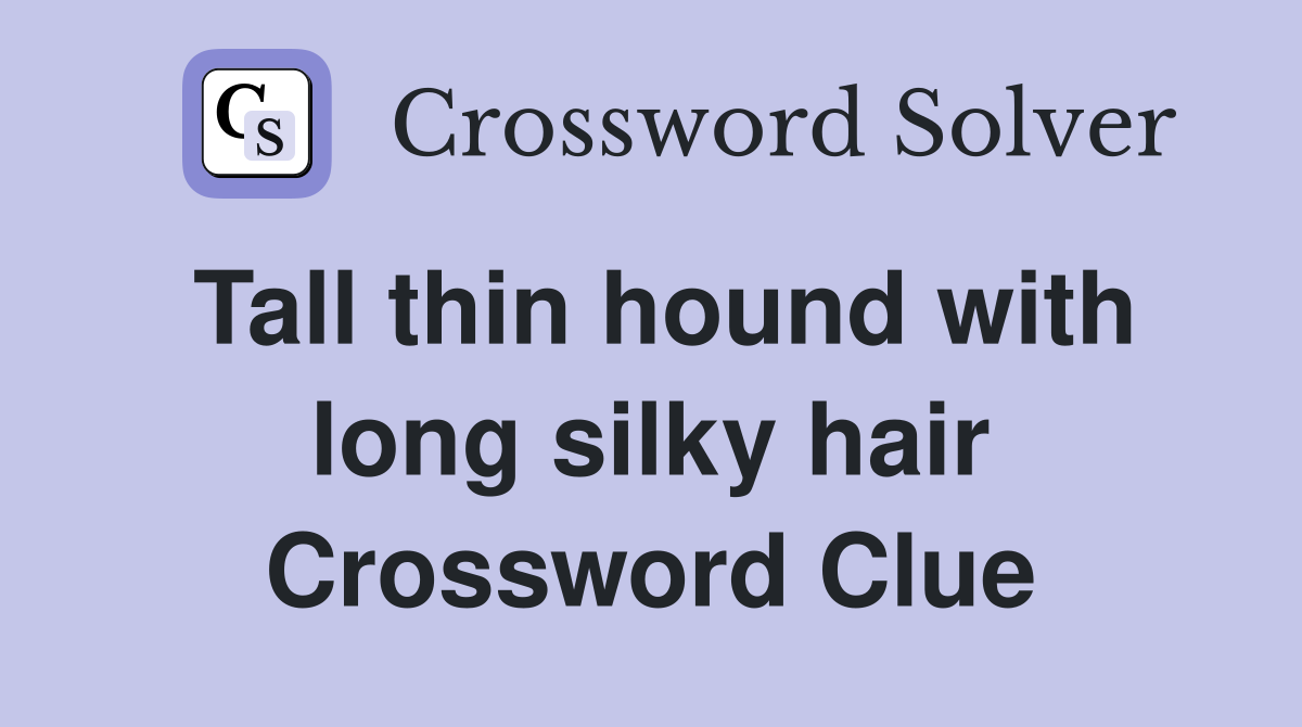 Tall thin hound with long silky hair Crossword Clue