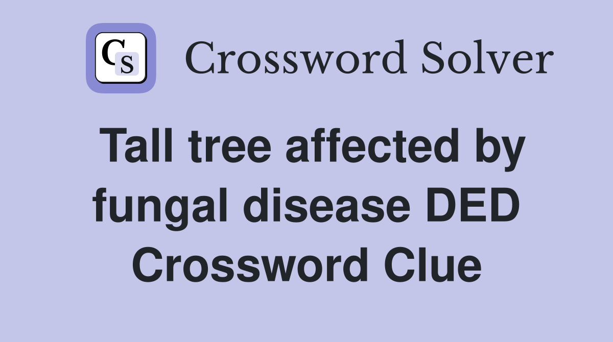Tall tree affected by fungal disease DED Crossword Clue