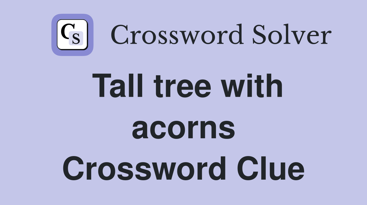 Tall tree with acorns Crossword Clue