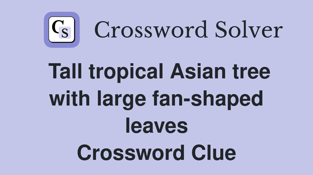 Tall tropical Asian tree with large fan-shaped leaves Crossword Clue