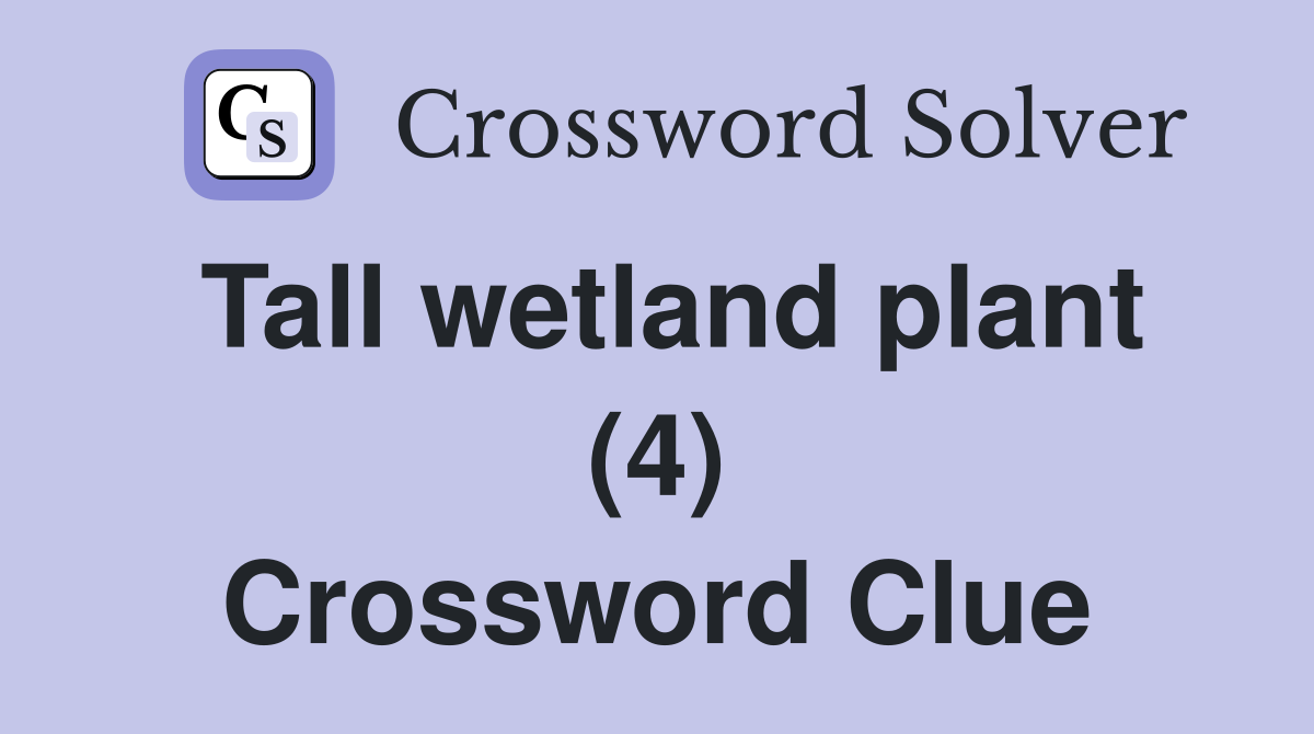 Tall wetland plant (4) Crossword Clue