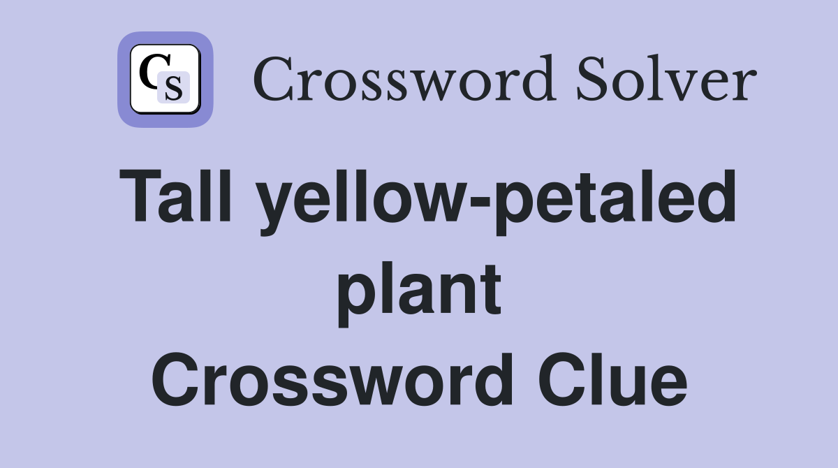Tall yellow-petaled plant Crossword Clue