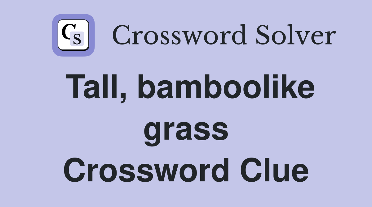 Tall, bamboolike grass Crossword Clue