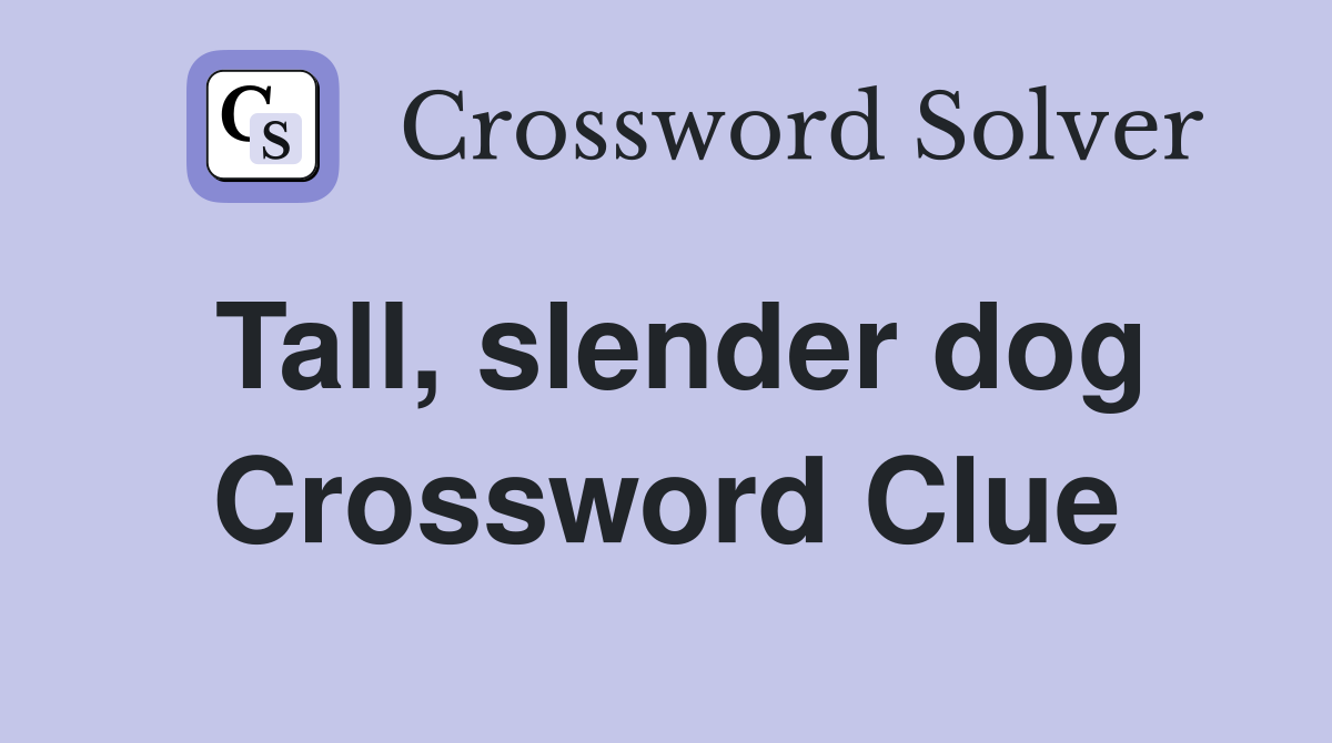 Tall, slender dog Crossword Clue