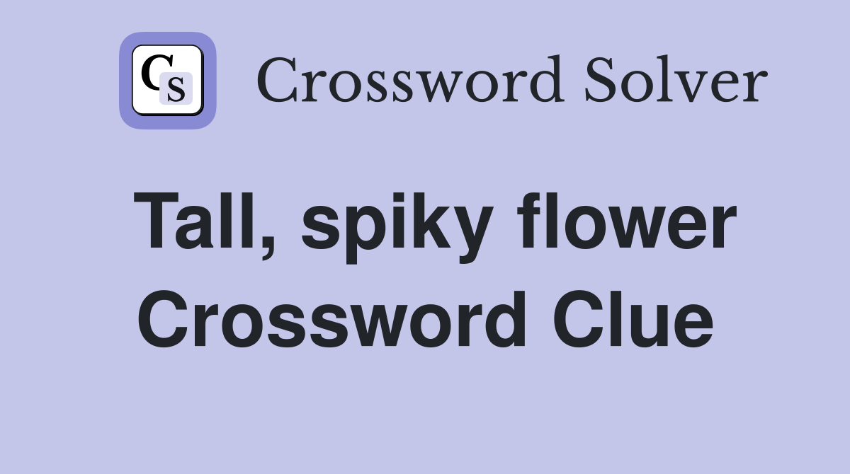 Tall, spiky flower Crossword Clue