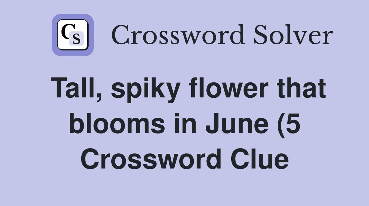 Tall spiky flower that blooms in June (5) Crossword Clue Answers Tall spiky flower that blooms in June (5) Crossword Clue Answers