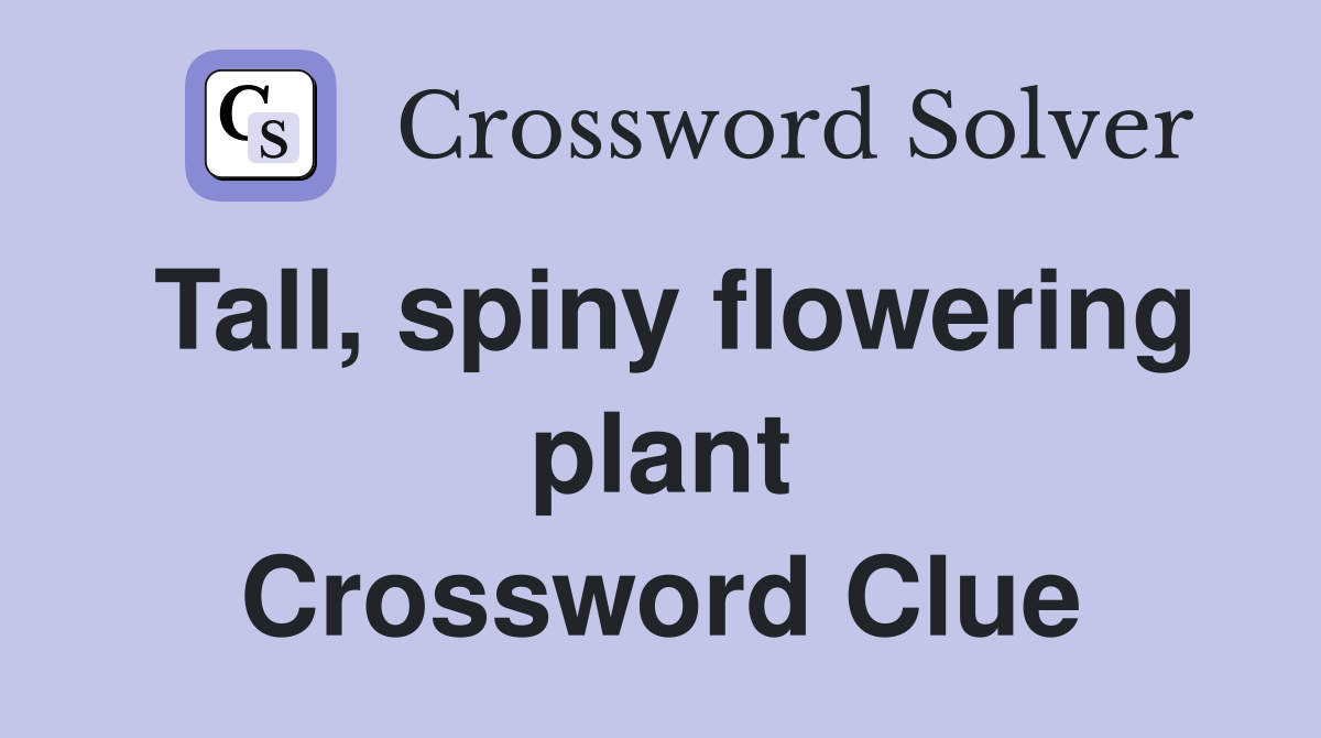 Tall, spiny flowering plant Crossword Clue