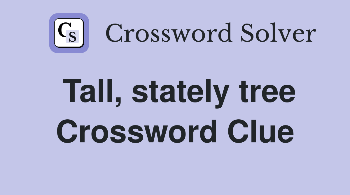 Tall, stately tree Crossword Clue