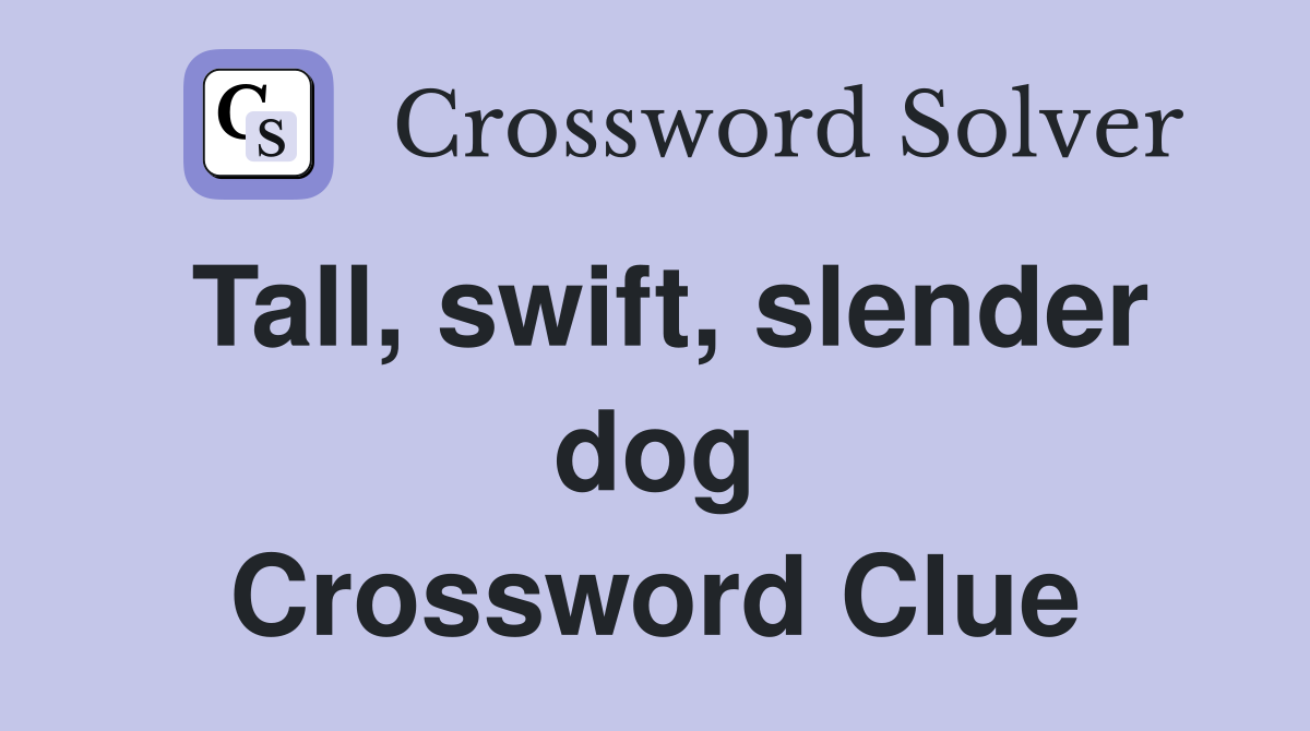 Tall, swift, slender dog Crossword Clue