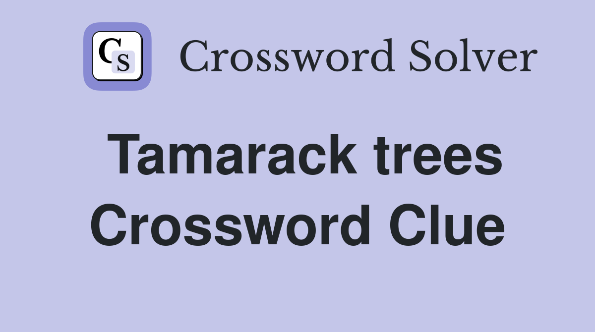 Tamarack trees Crossword Clue