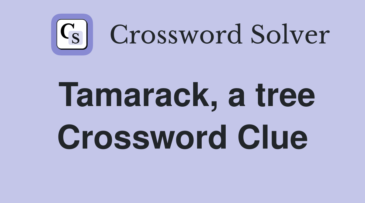 Tamarack, a tree Crossword Clue