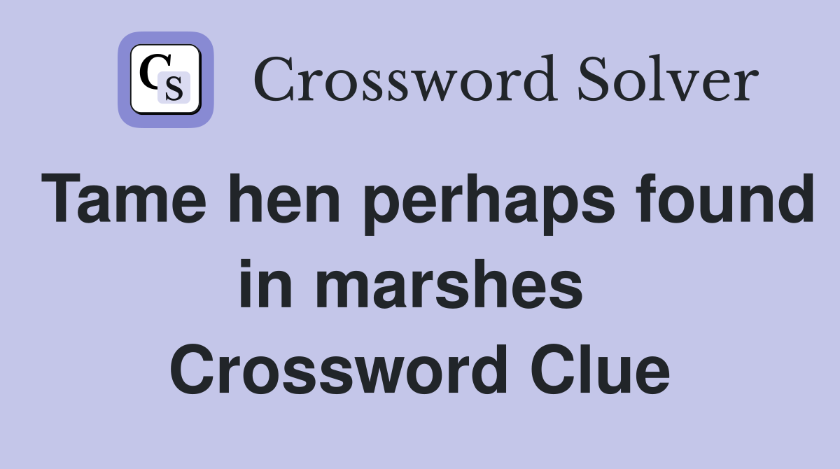 Tame hen perhaps found in marshes  Crossword Clue