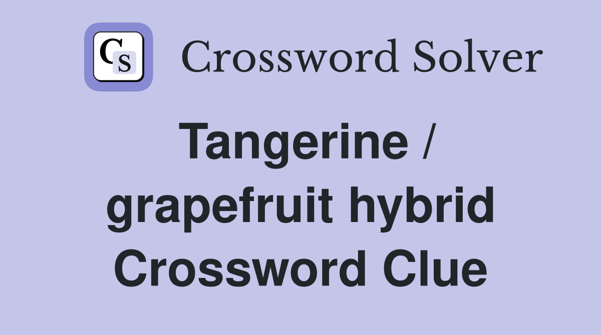 Tangerine / grapefruit hybrid Crossword Clue