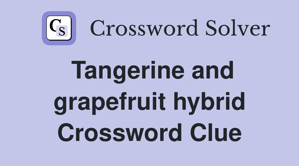 Tangerine and grapefruit hybrid Crossword Clue
