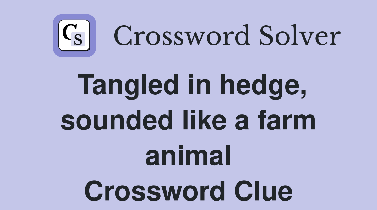 Tangled in hedge, sounded like a farm animal Crossword Clue