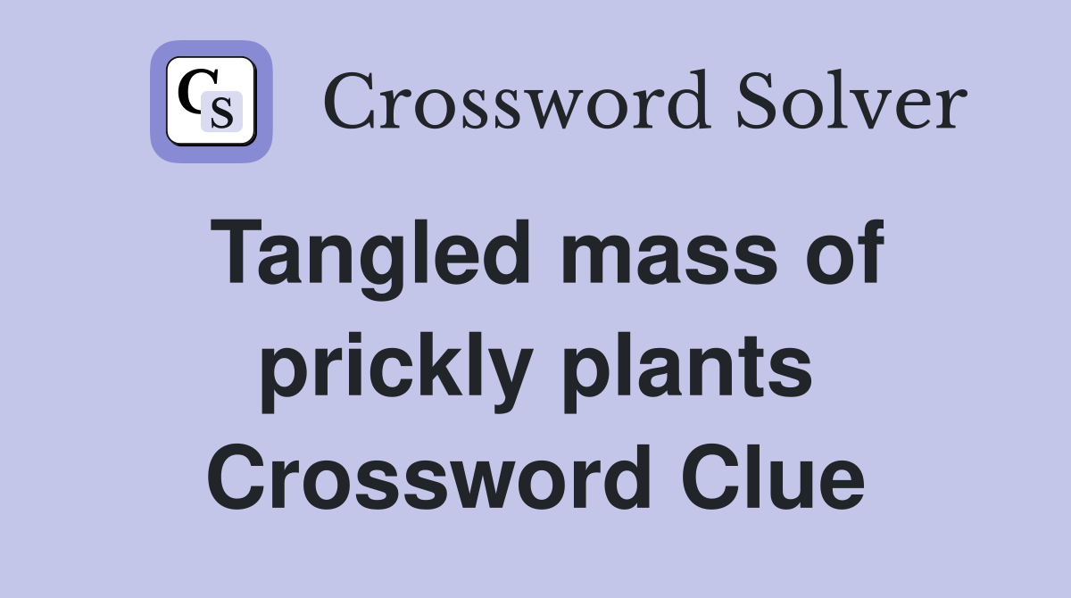 Tangled mass of prickly plants Crossword Clue