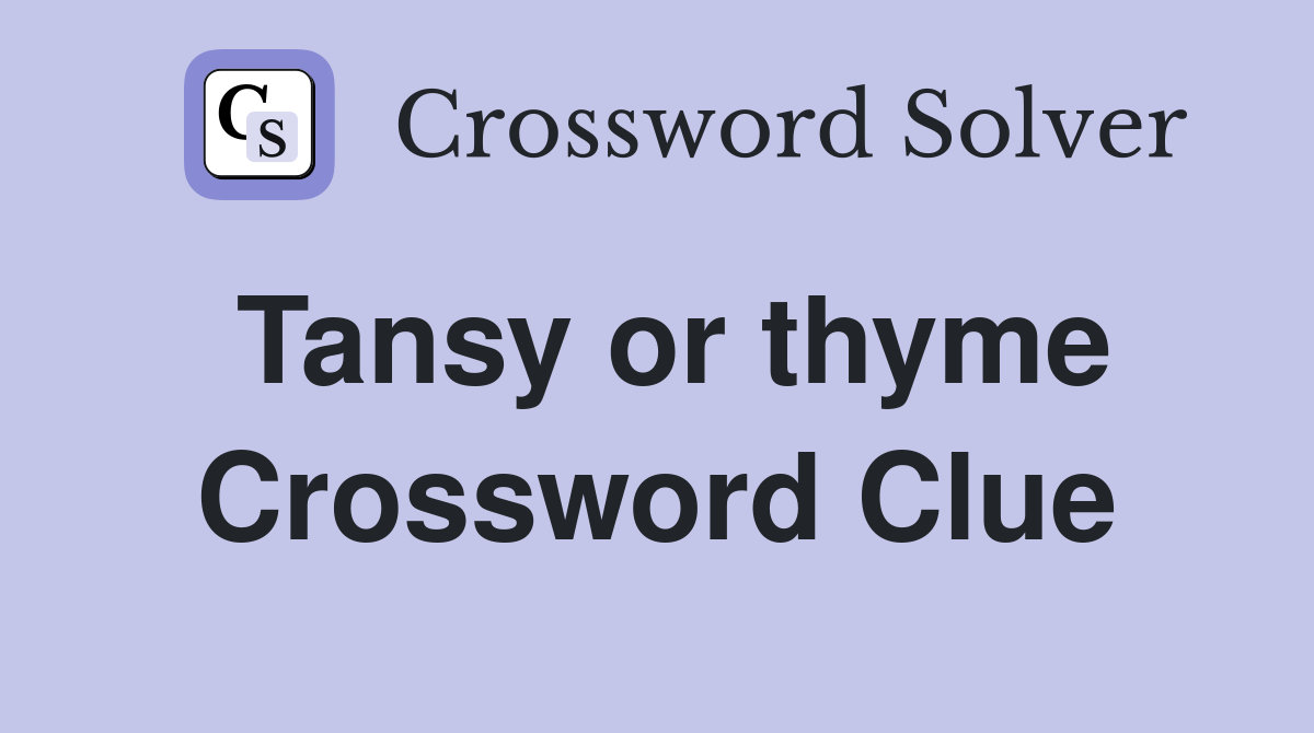 Tansy or thyme Crossword Clue