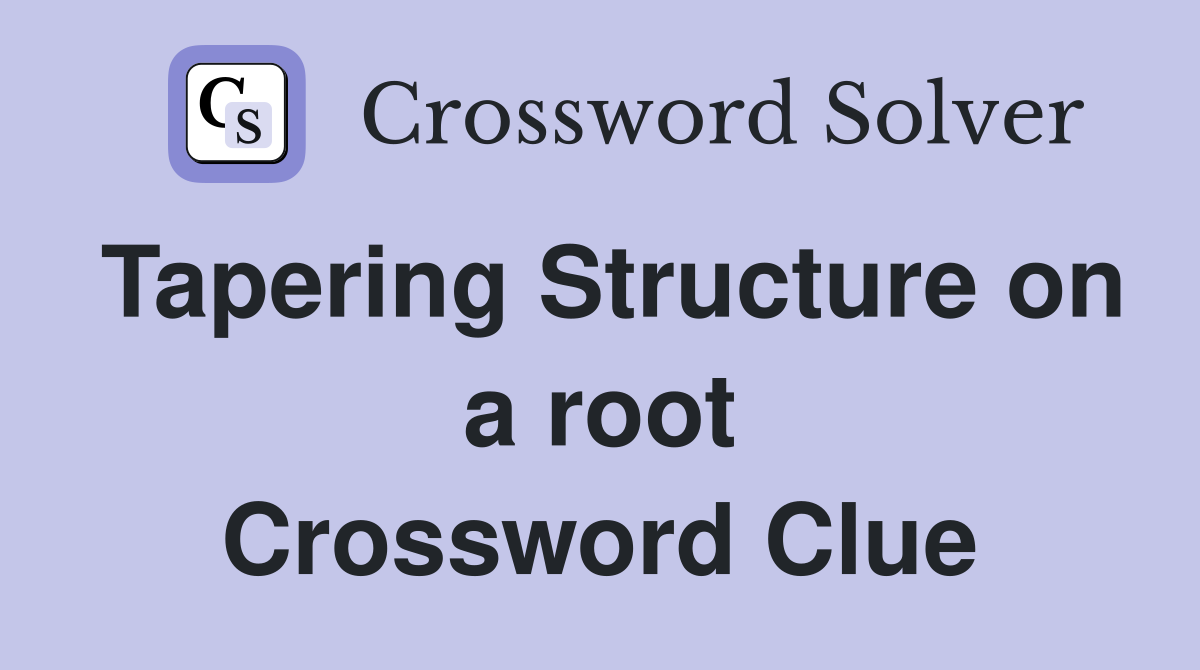 Tapering Structure on a root Crossword Clue