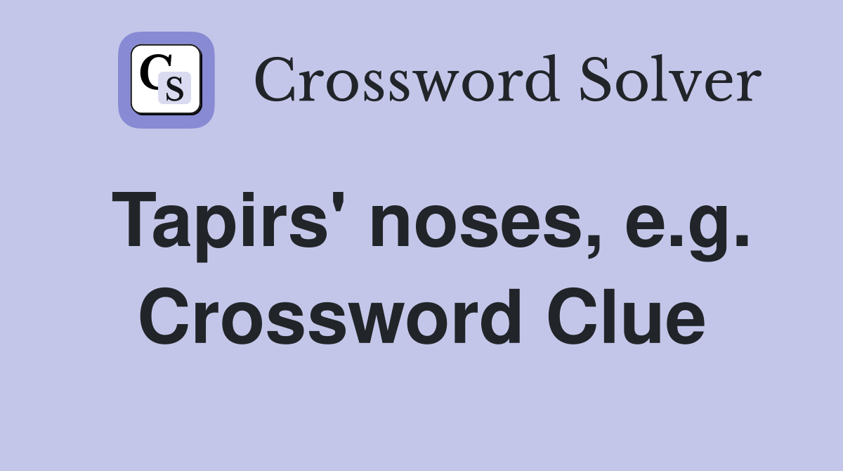 Tapirs' noses, e.g. Crossword Clue