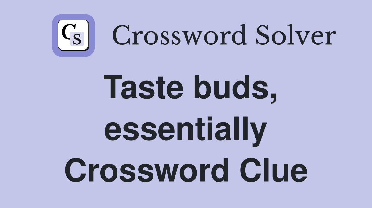 Taste buds, essentially Crossword Clue