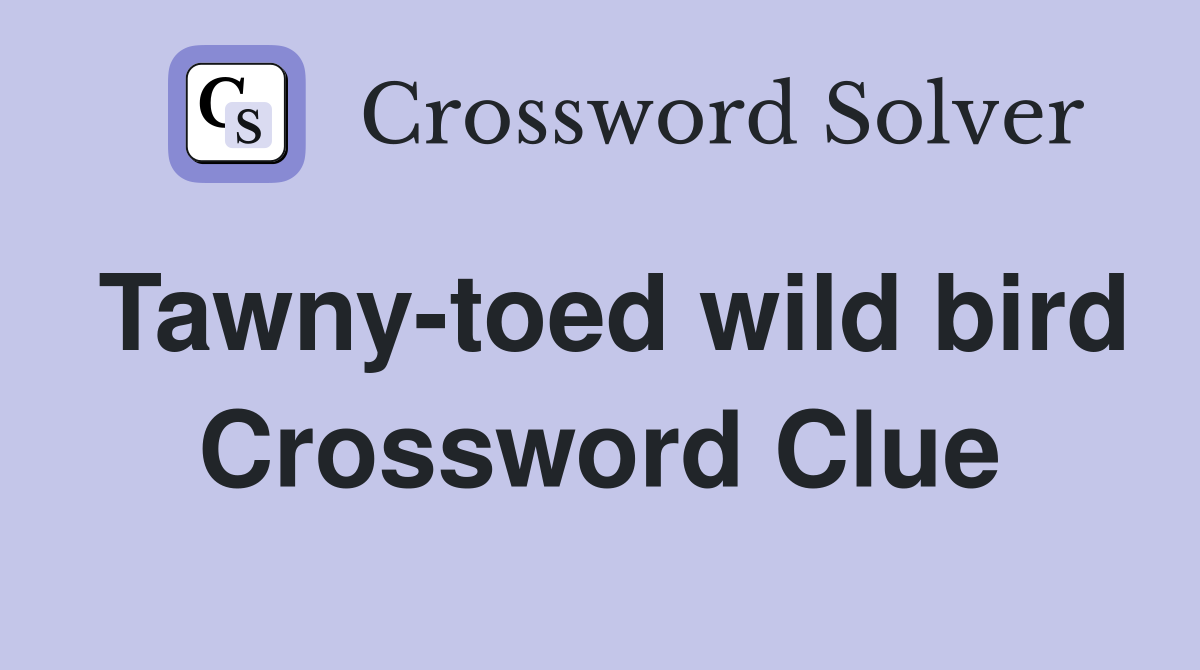 Tawny-toed wild bird Crossword Clue