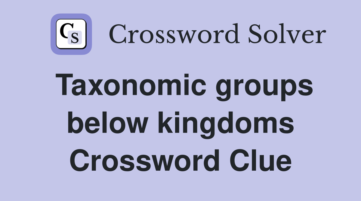 Taxonomic groups below kingdoms Crossword Clue