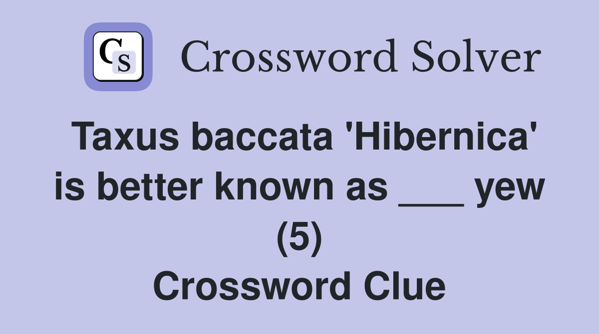 Taxus baccata 'Hibernica' is better known as ___ yew (5) Crossword Clue