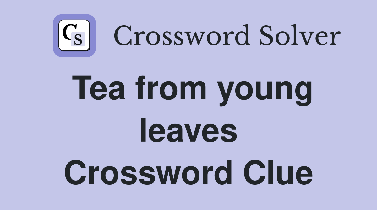 Tea from young leaves Crossword Clue