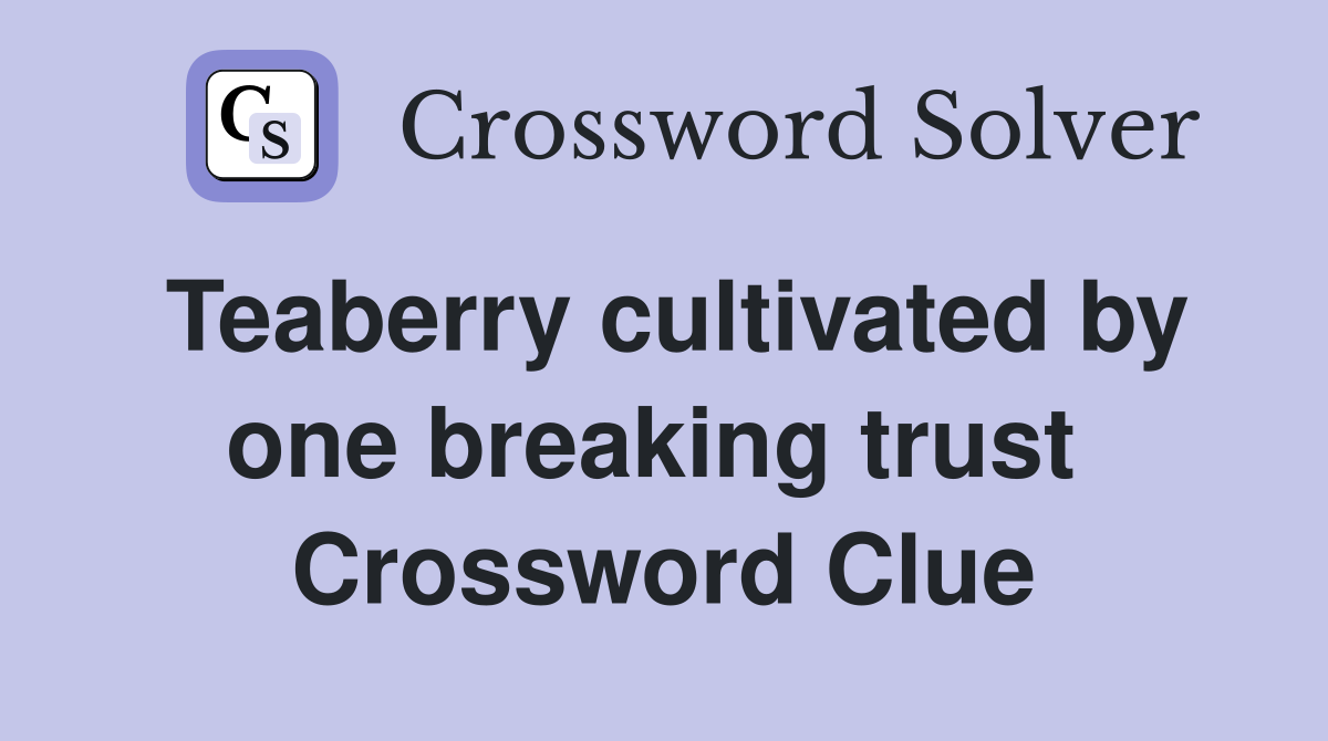 Teaberry cultivated by one breaking trust  Crossword Clue